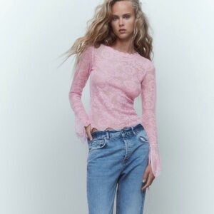 Zara NWT Sheer Pink Lace Top